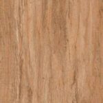 سالوتی قهوه ای